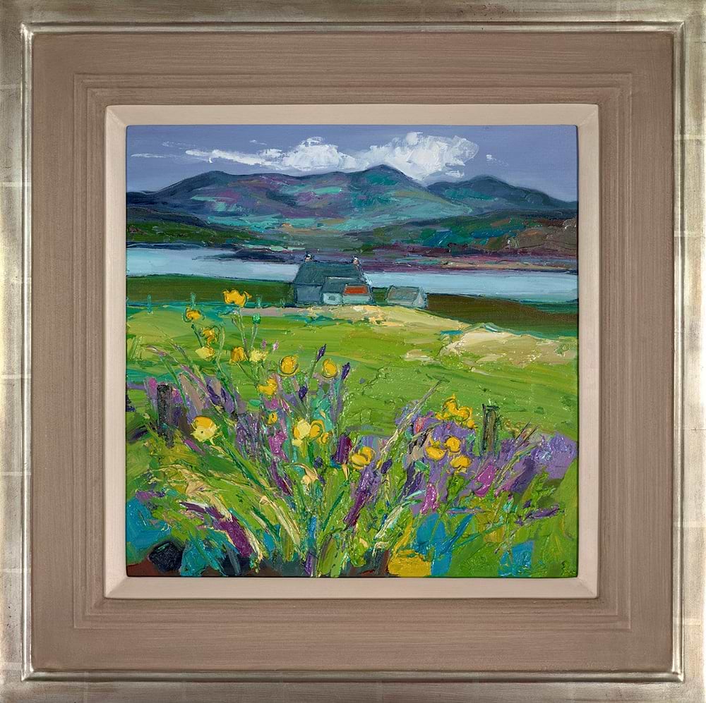 Buttercups, Isle of Lewis