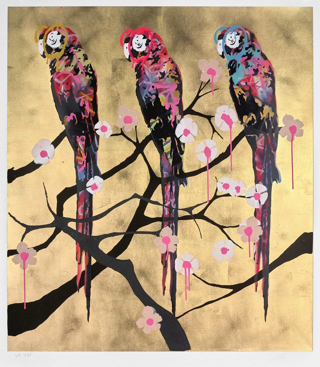 Polly Folly 13/25