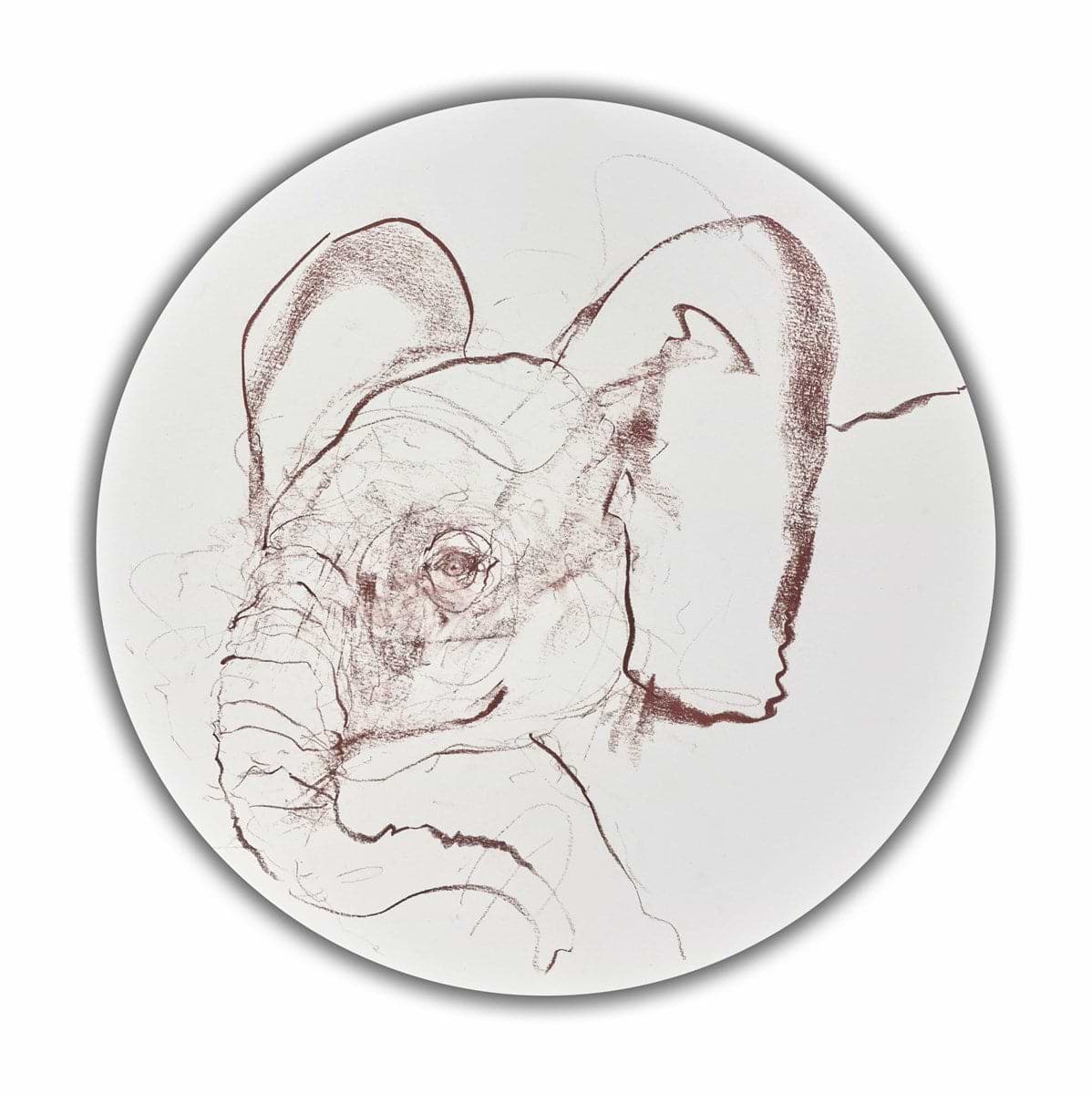 Young Elephant Sketch XVI