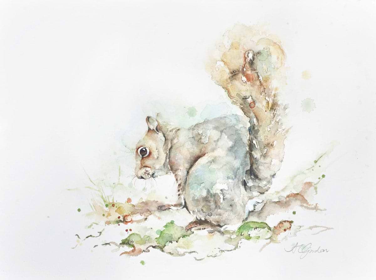 Faraging - Gray Squirrel