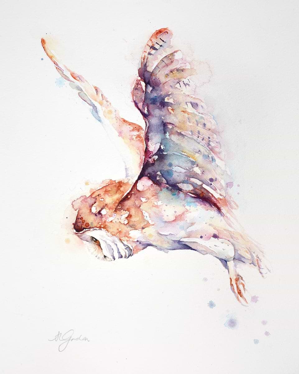 Quiet Hunter - Barn Owl
