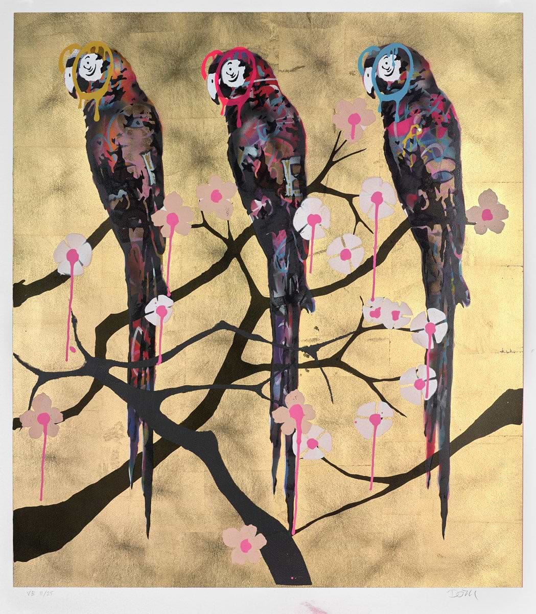 Polly Folly 11/25