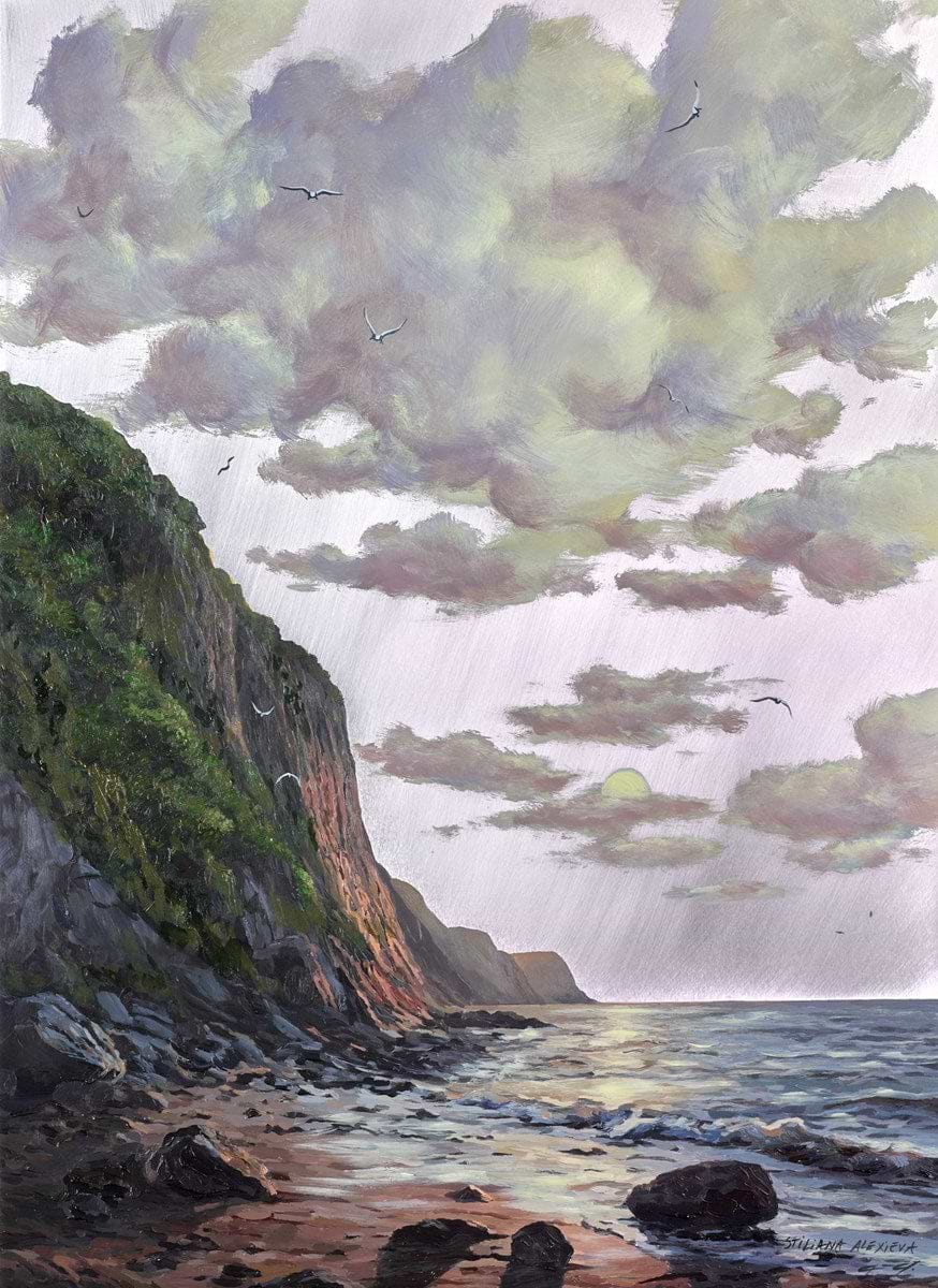 Untamed Coast