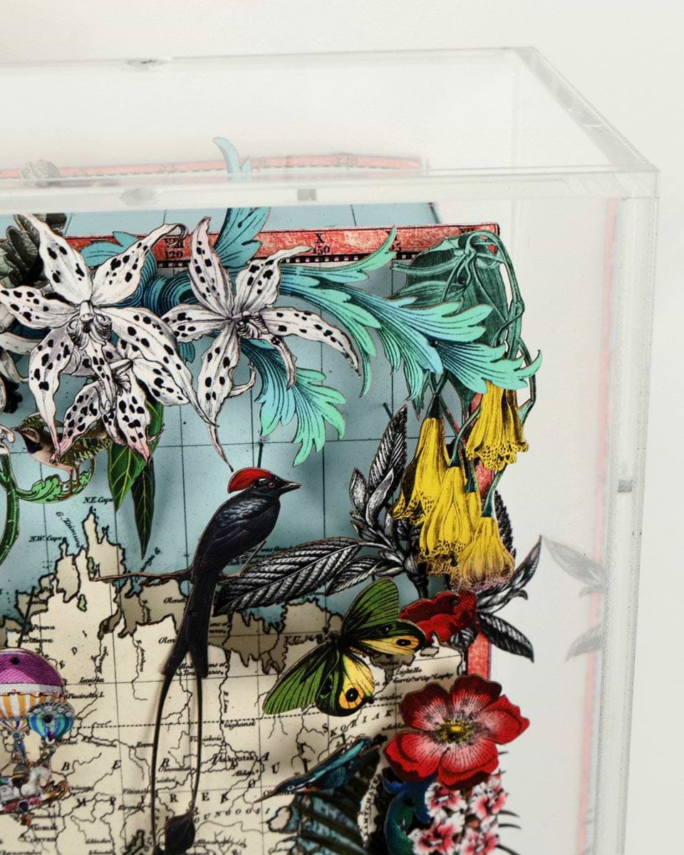 Navigators Floating Map - Giraffe Discoveries of the world (Detail2)