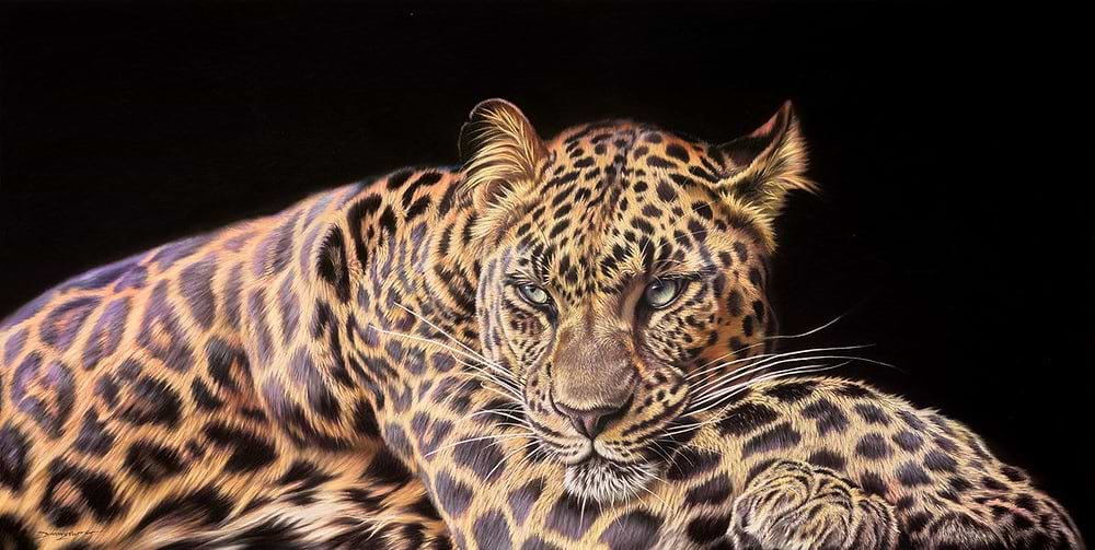 Relaxing Leopard