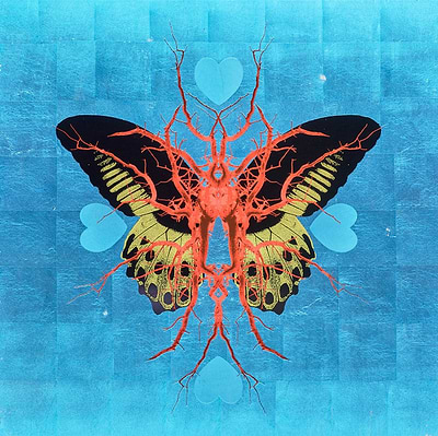 Leaf Butterfly - Sapphire