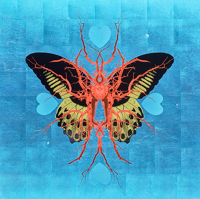 Leaf Butterfly - Sapphire
