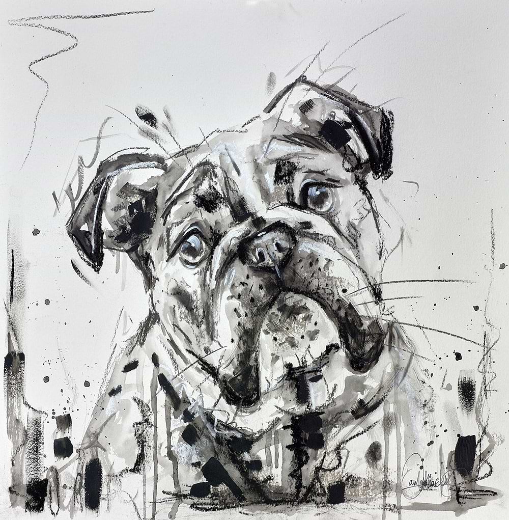 British Bulldog