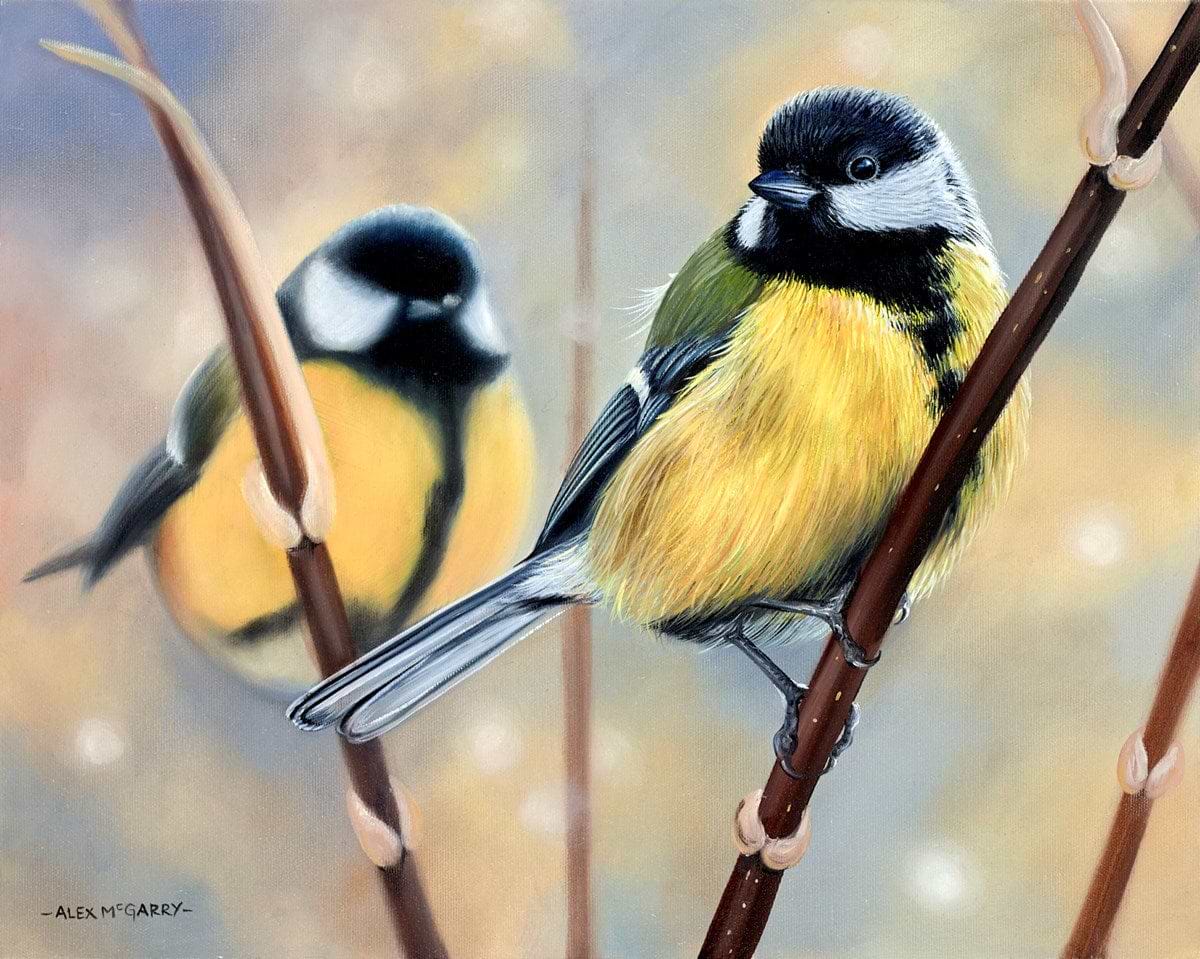 Birds on a Branch