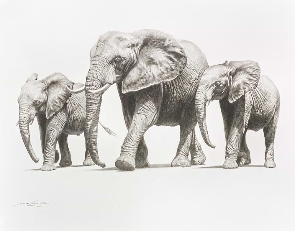Walking Elephants