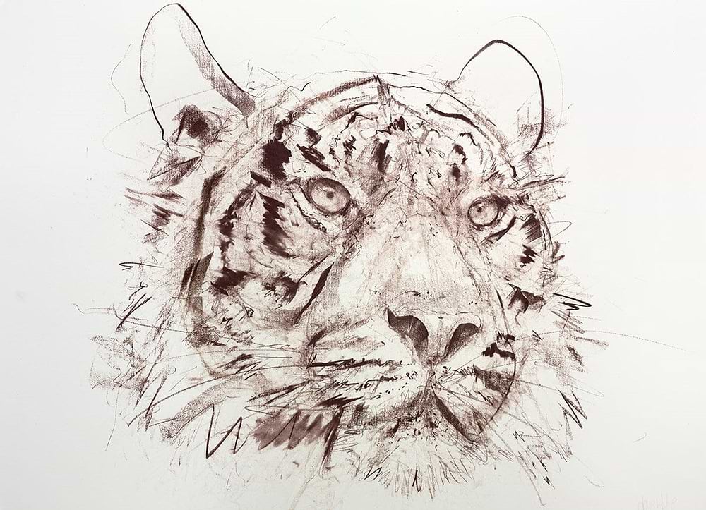 Tiger VII (Study)