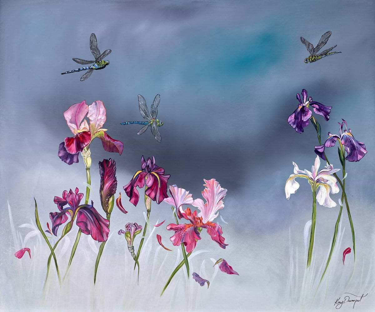 Dragonflies and Dreams
