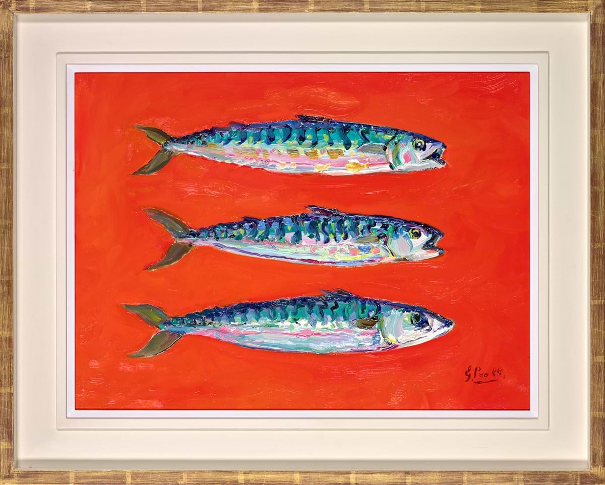 Cadgwith Mackerel