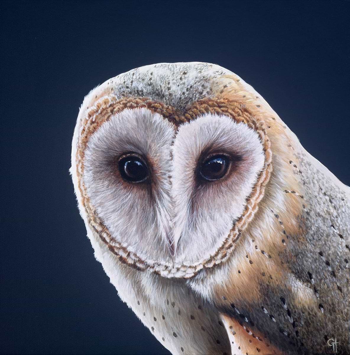 Owl II