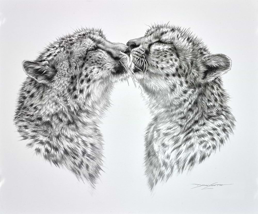 Cheetah Caress