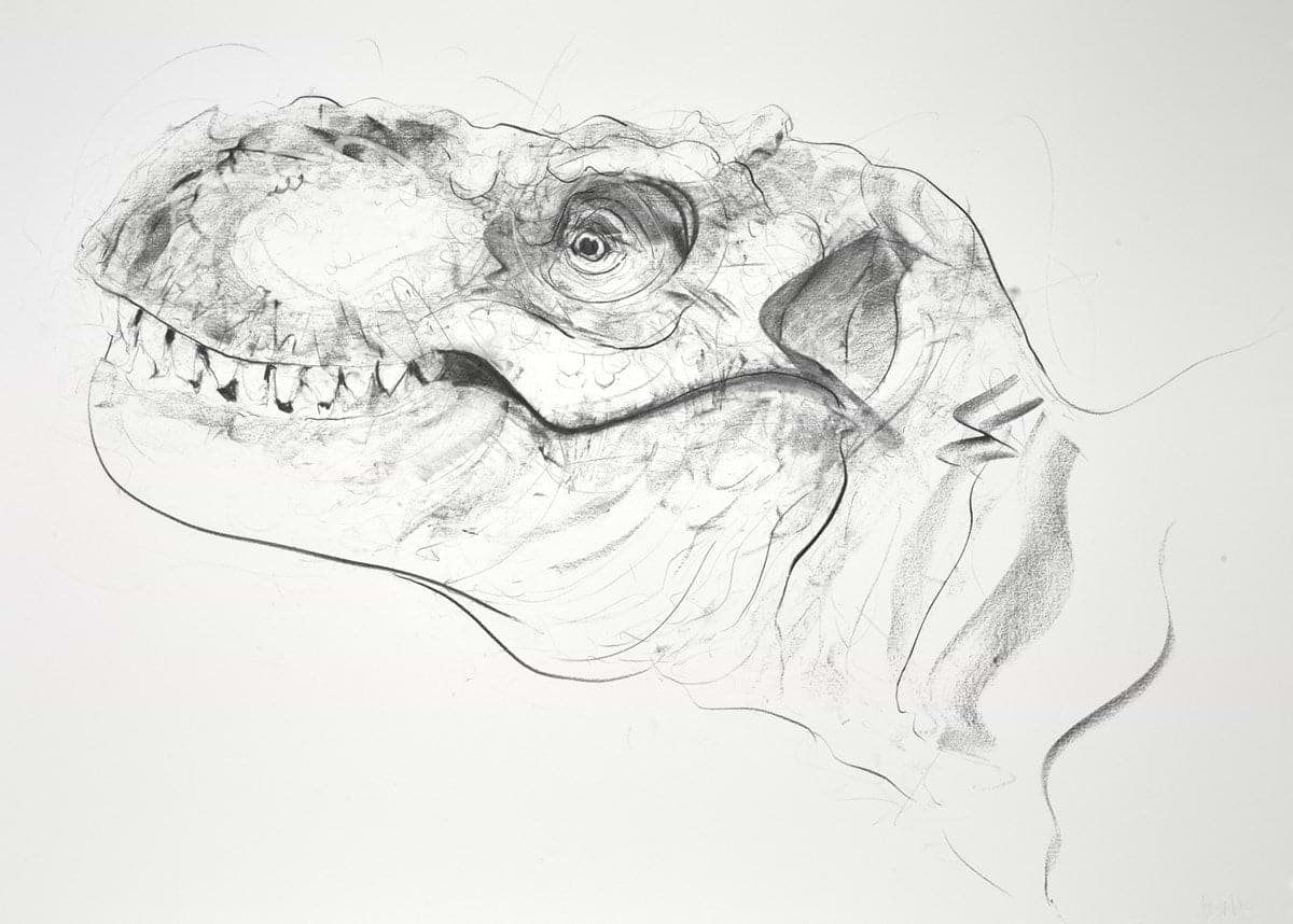 T Rex X