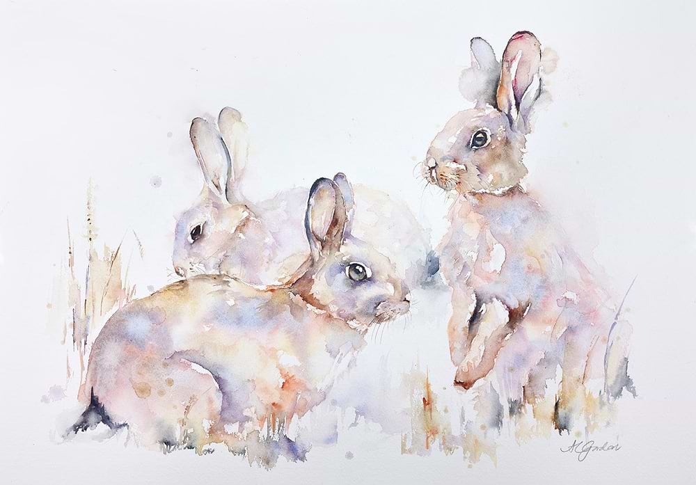 Sweet Meadow Family - Wild Rabbits
