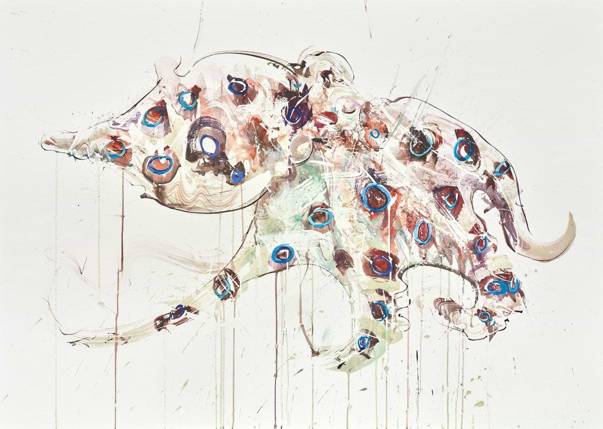 Blue Ringed Octopus II