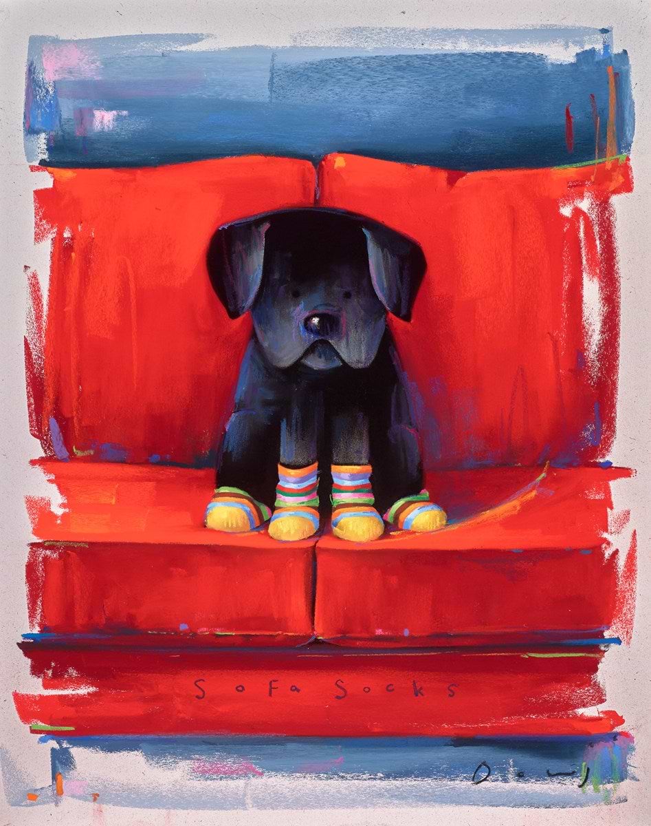 Sofa Socks