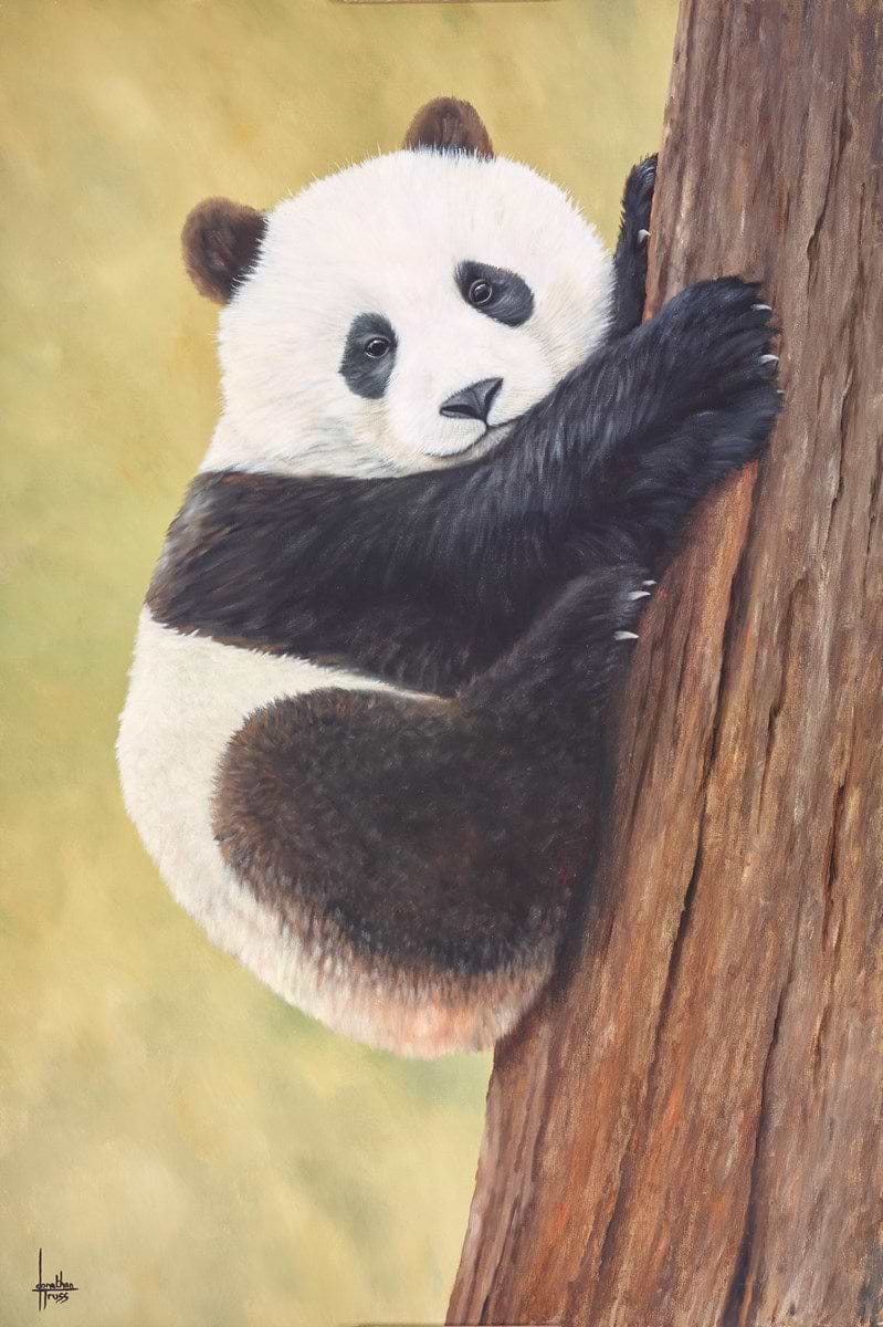 Get a Grip, Baby Panda