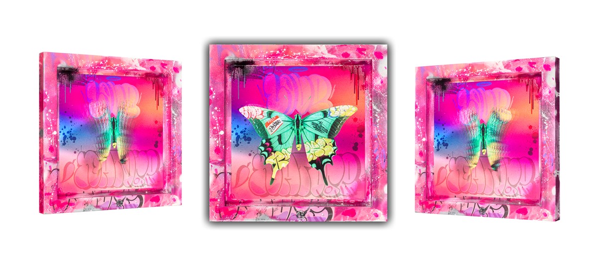 Beautiful Butterfly