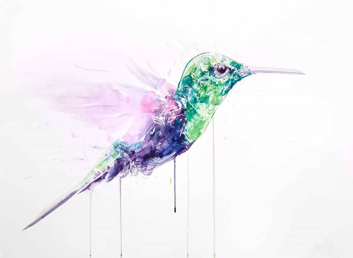 Hummingbird II