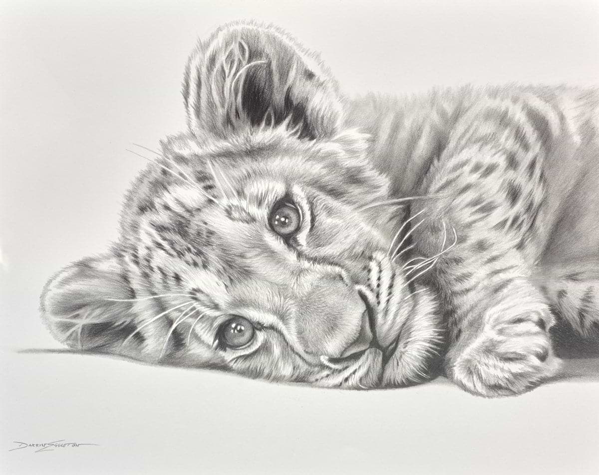 Born to Roar