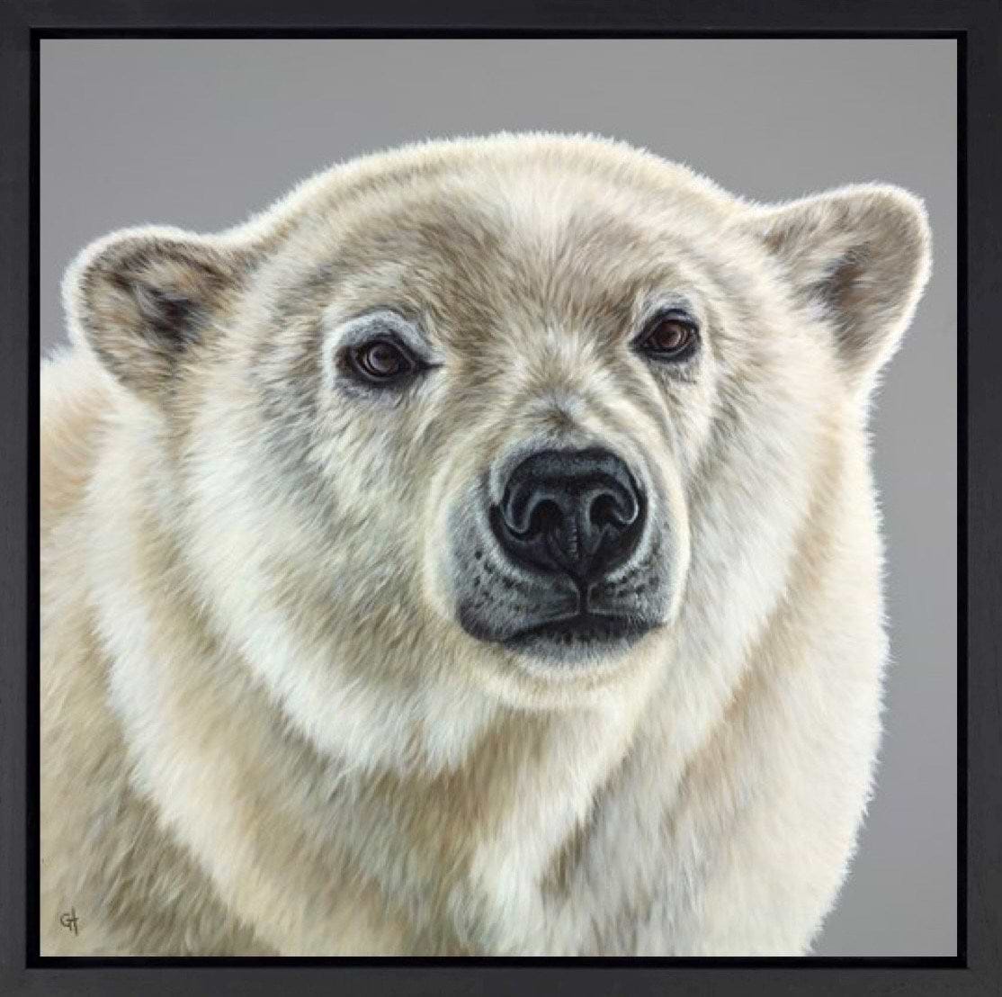 Polar Bear | Gina Hawkshaw – Clarendon Fine Art
