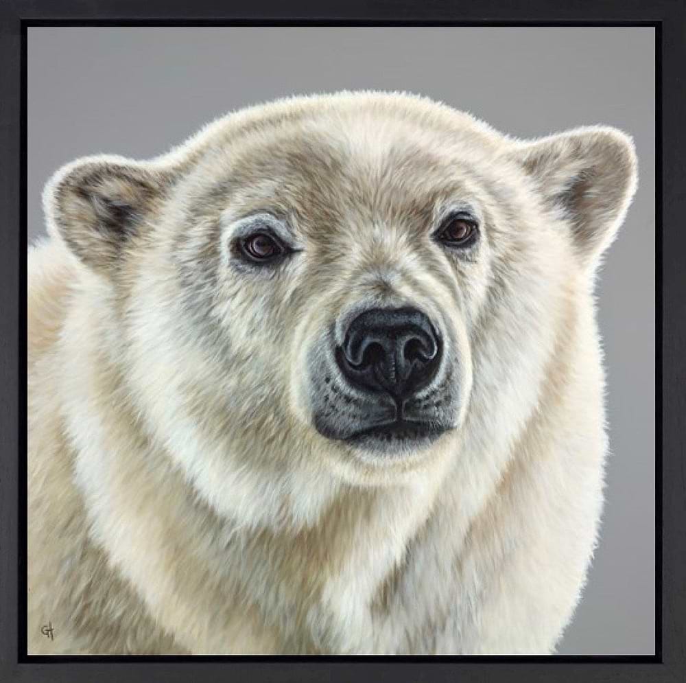 Polar Bear (Framed)