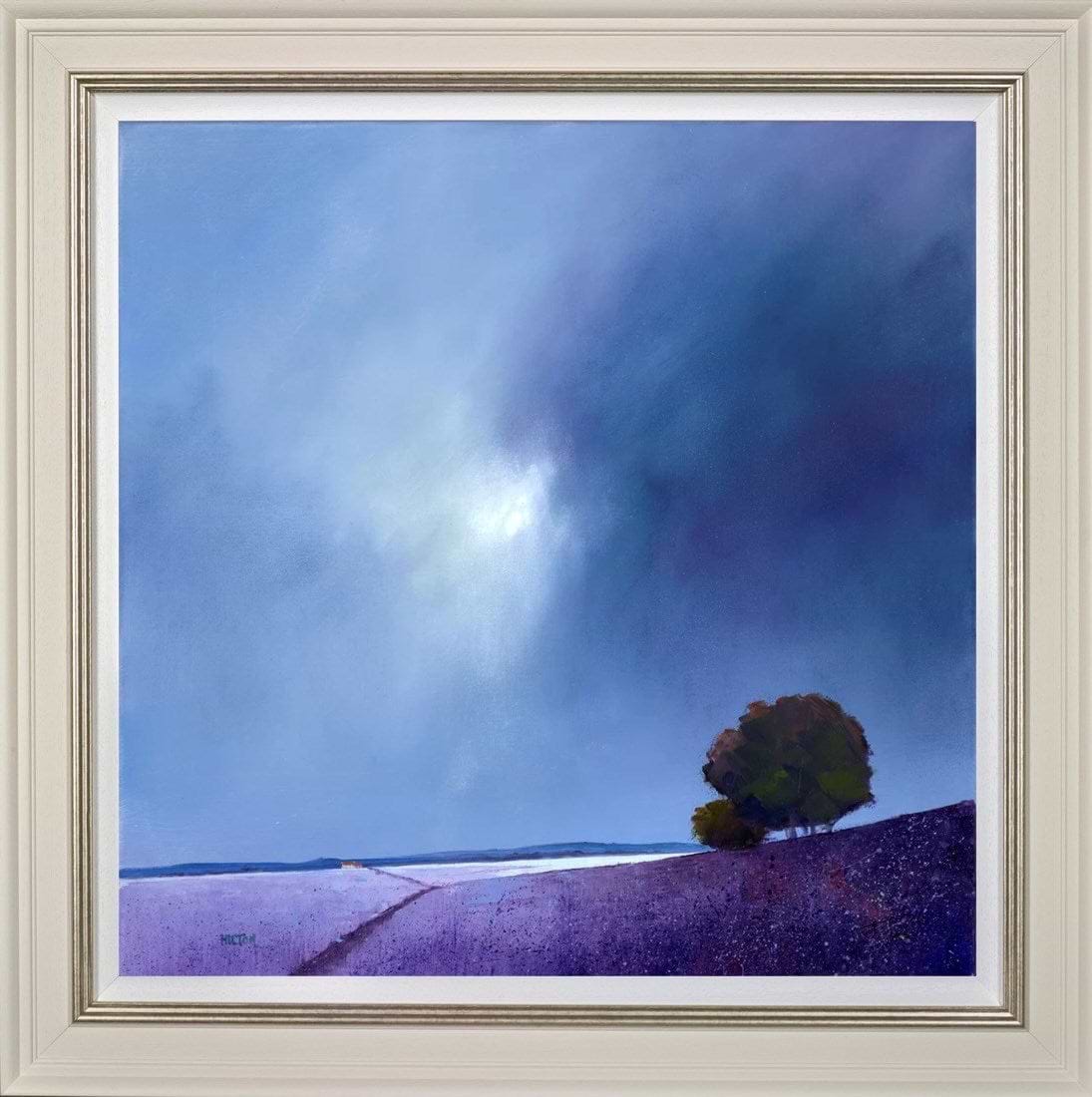 Lavender Splendour (Framed)