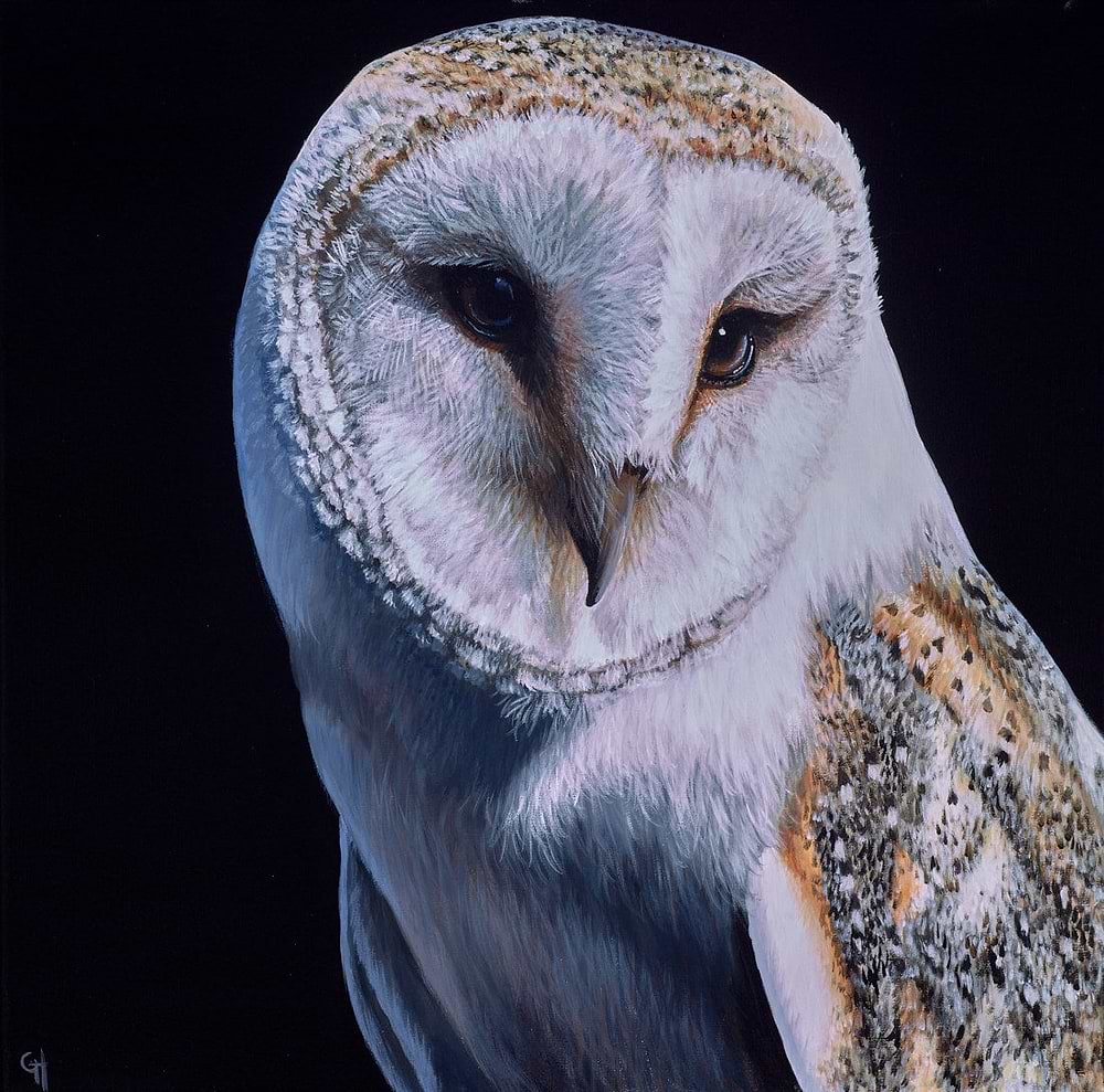 Barn Owl I