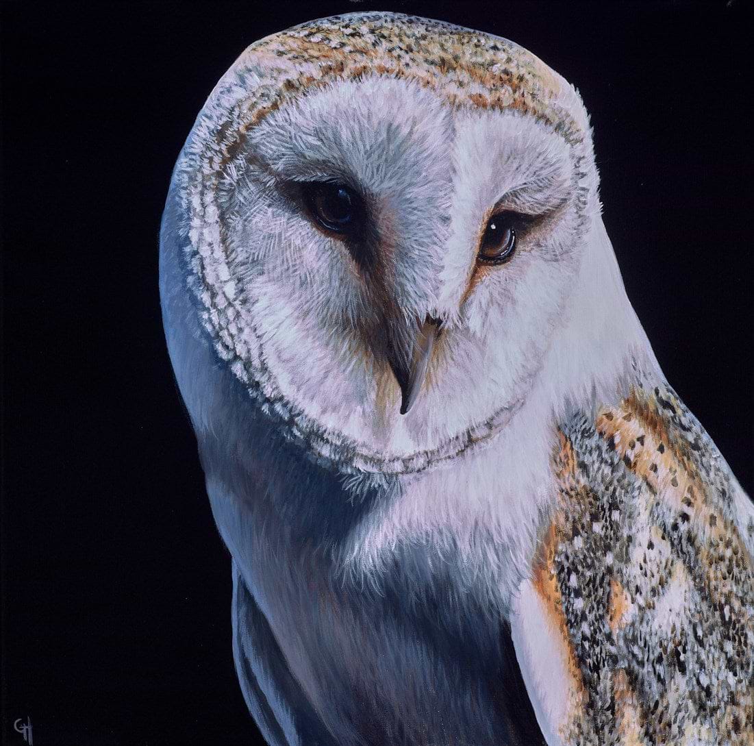 Barn Owl I