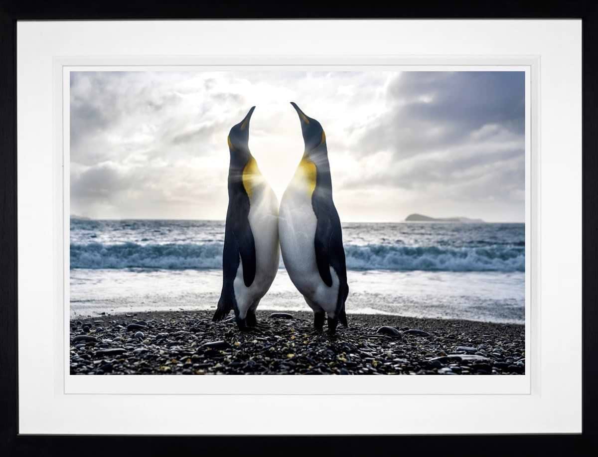 Dare to Hope (Framed)