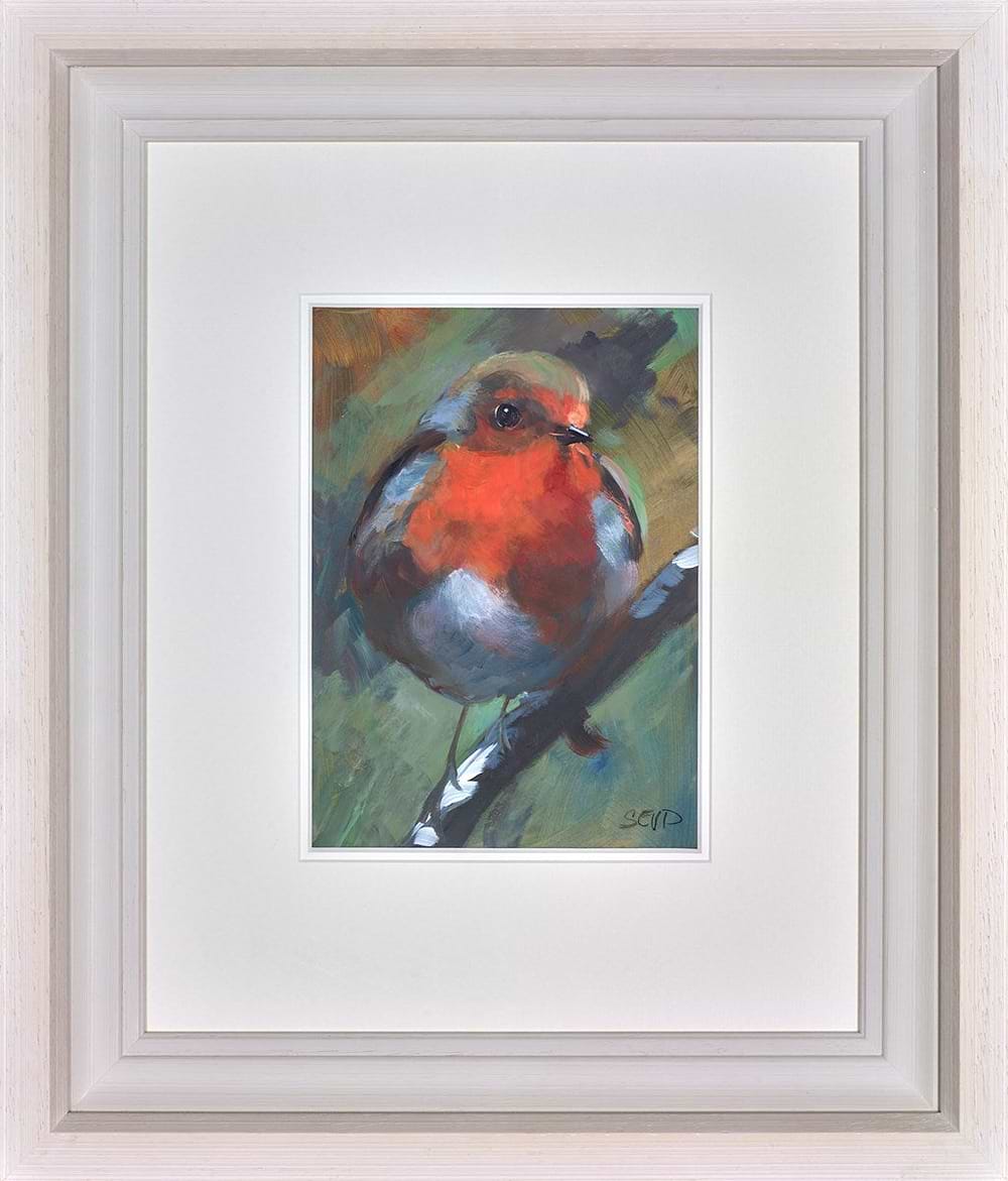 Robin Red Breast