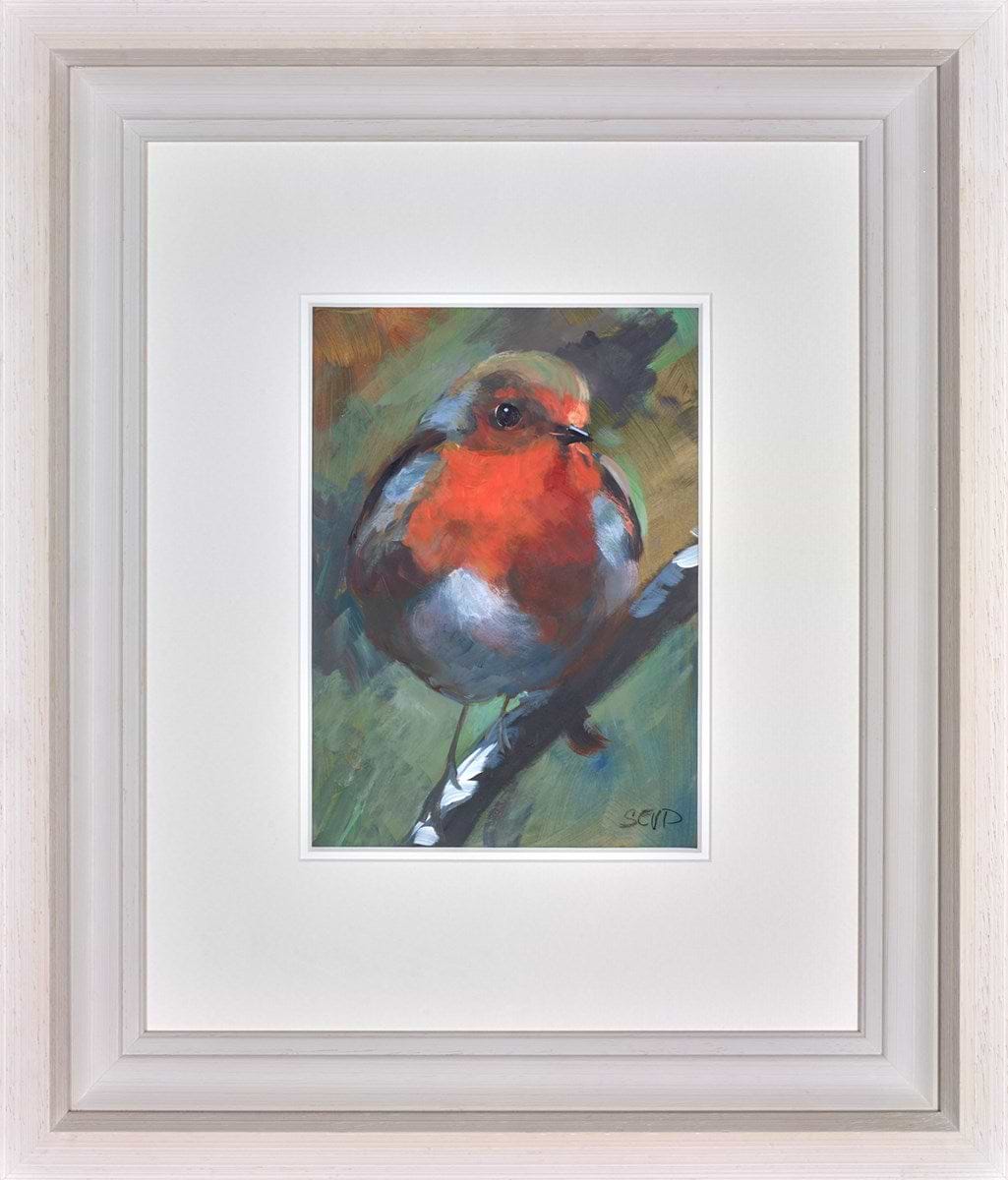 Robin Red Breast