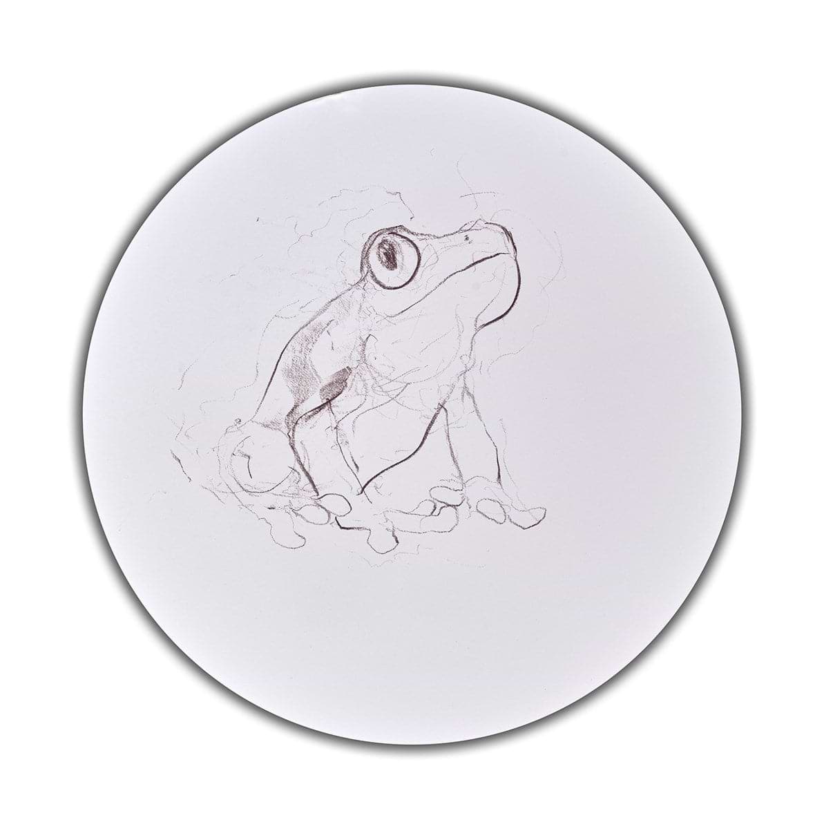 Tree Frog Study II