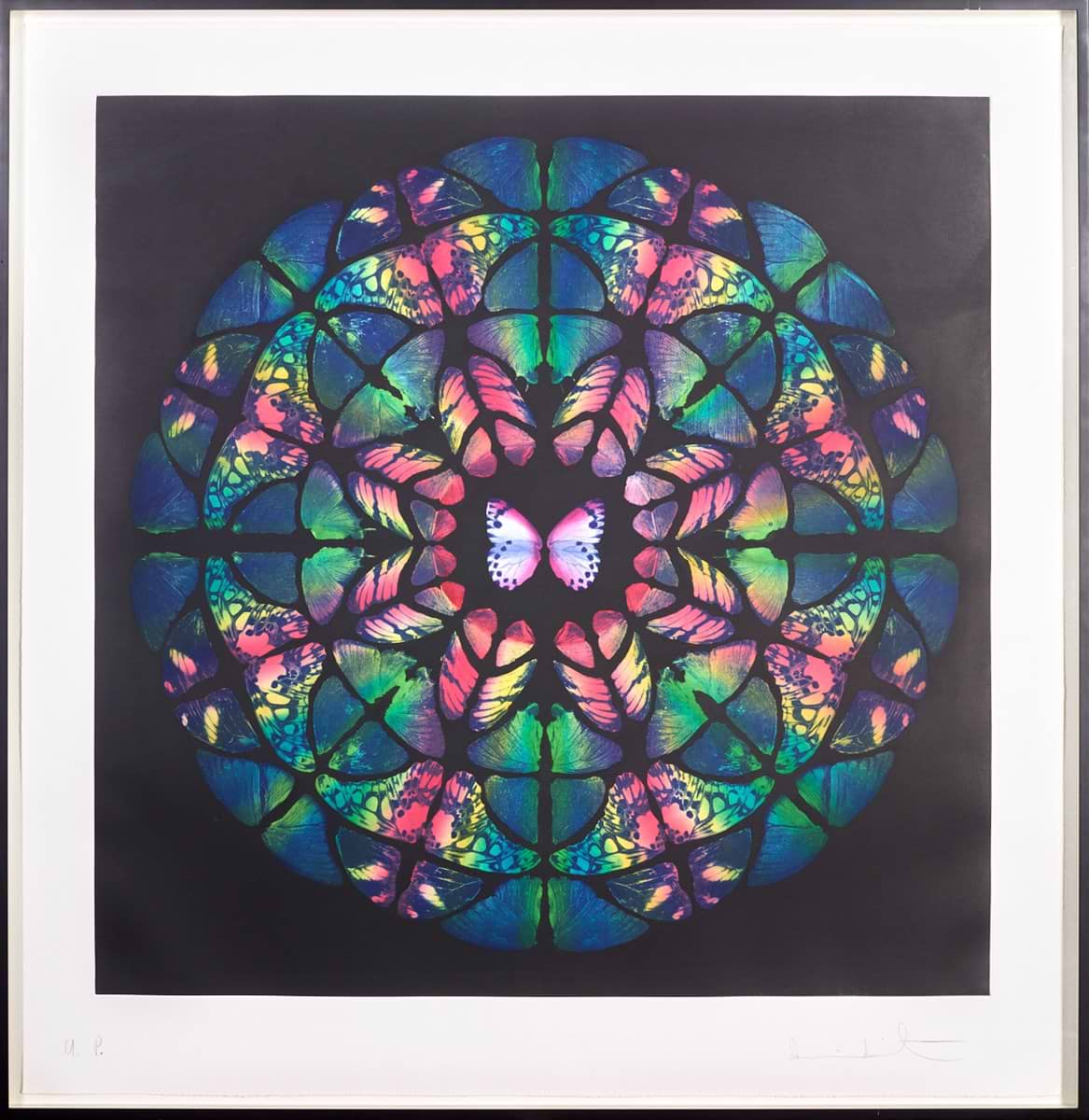 アート・デザイン・音楽 Damienhirst Sanctum | Damien Hirst – Clarendon Fine Art