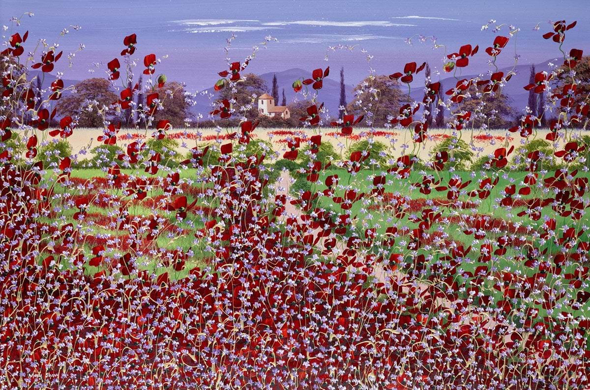 Summer Poppies IV