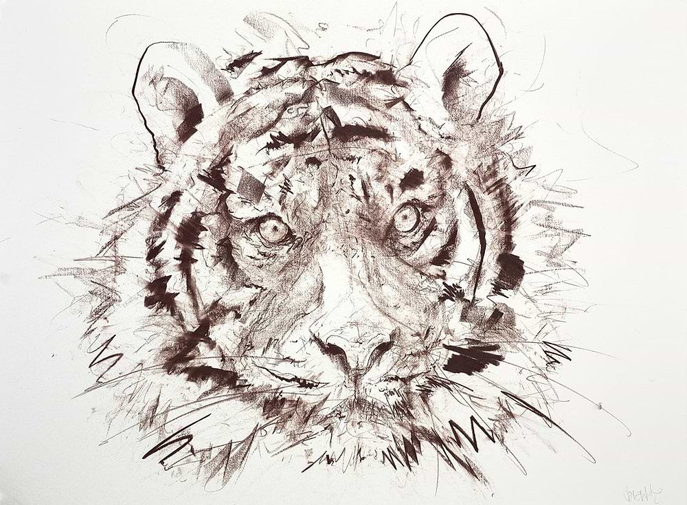 Tiger V (Study)