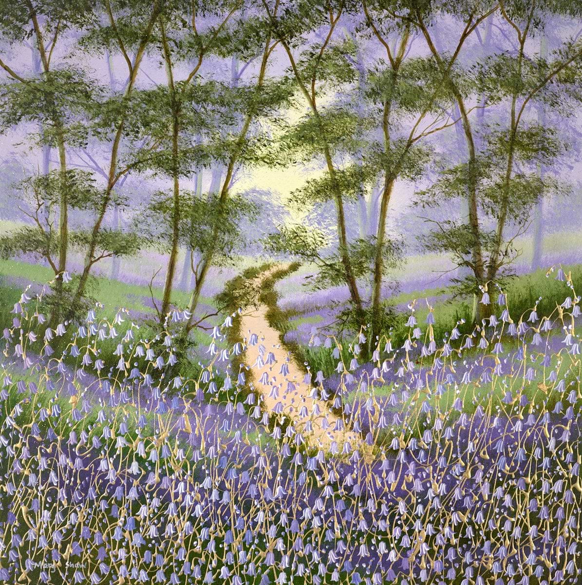 Woodland Pathway
