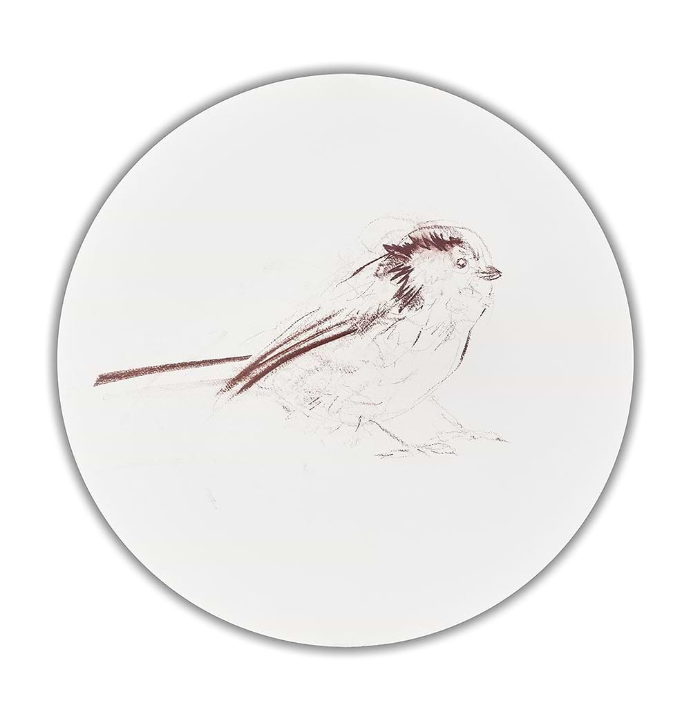 Long Tailed Tit Sketch VI