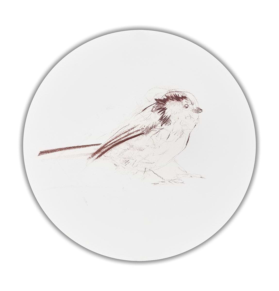 Long Tailed Tit Sketch VI