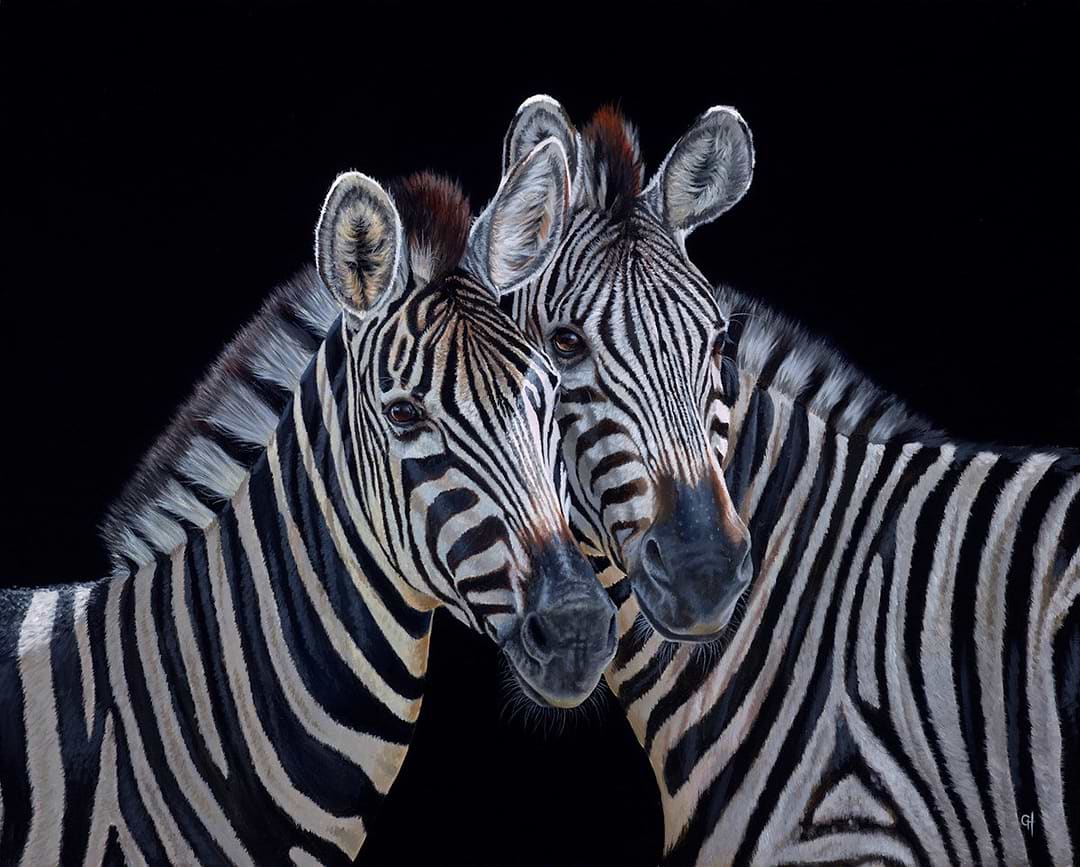 Zebra II