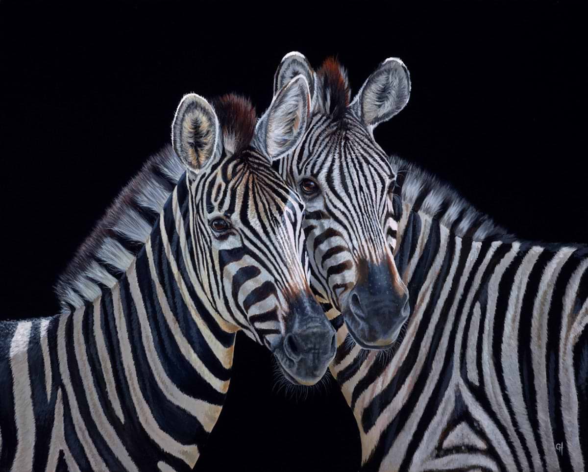 Zebra II