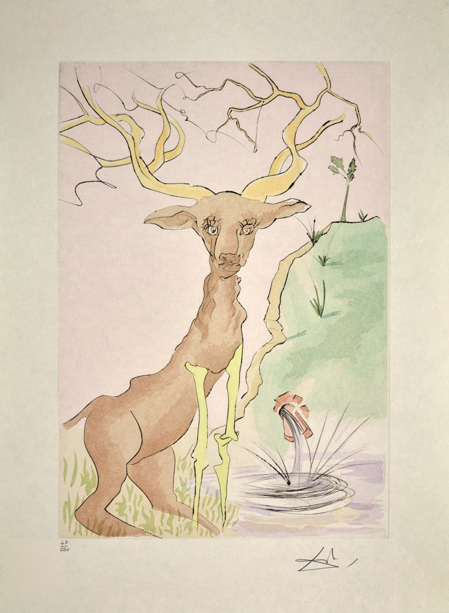 Le Cerf se Voyant dans L'eau