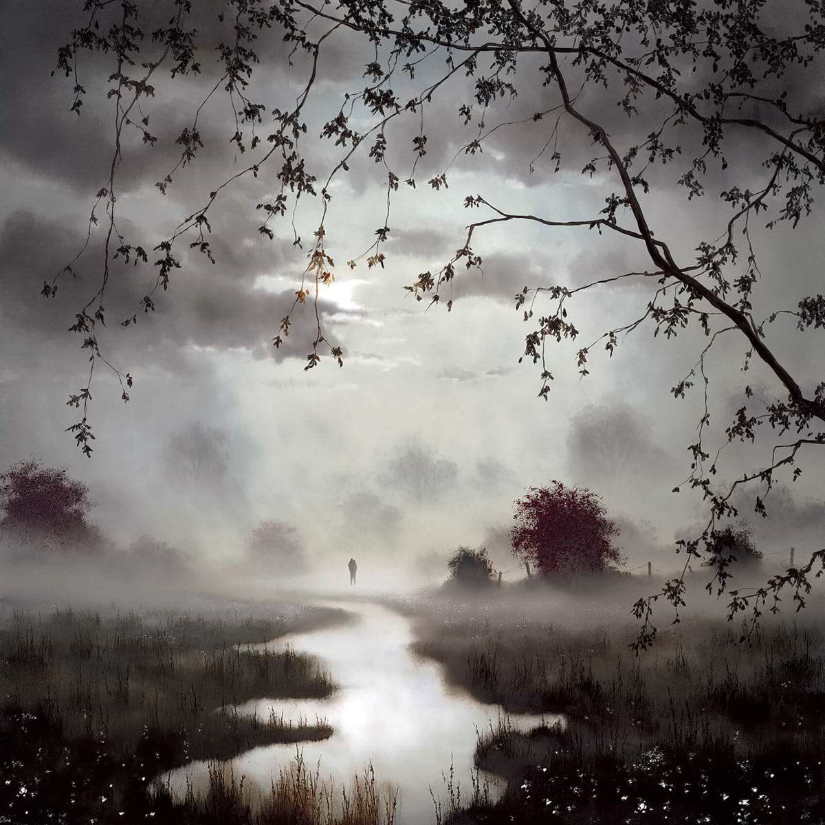 Chasing the Light