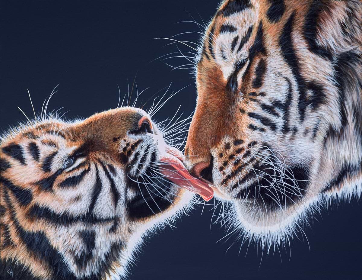 Tiger Kisses