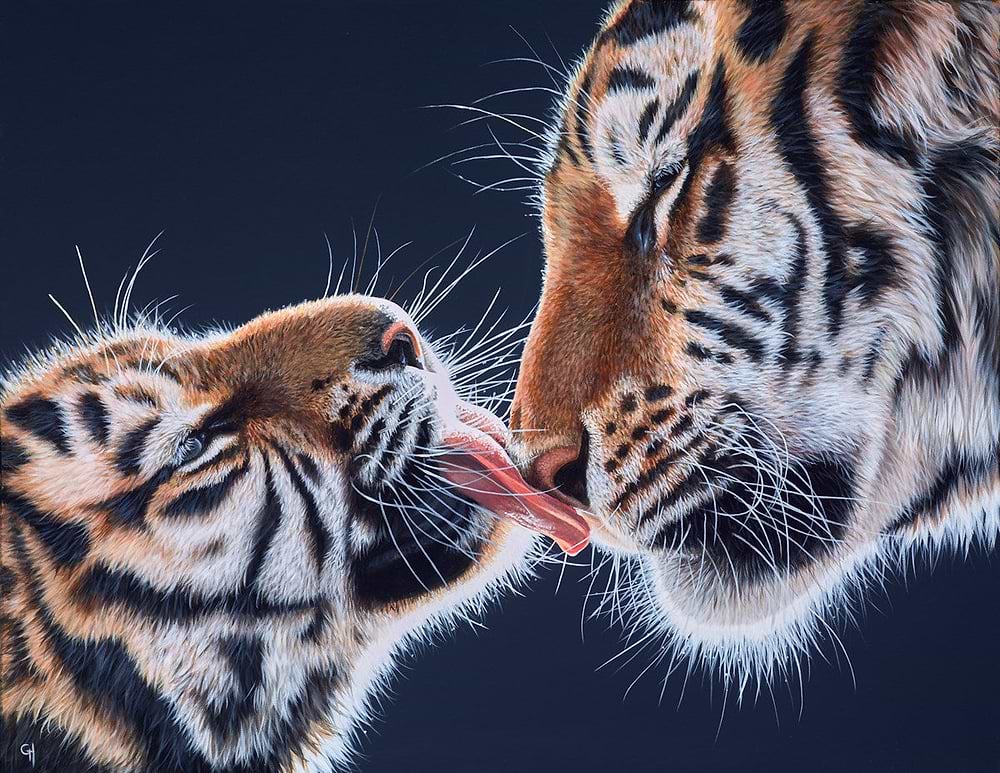 Tiger Kisses