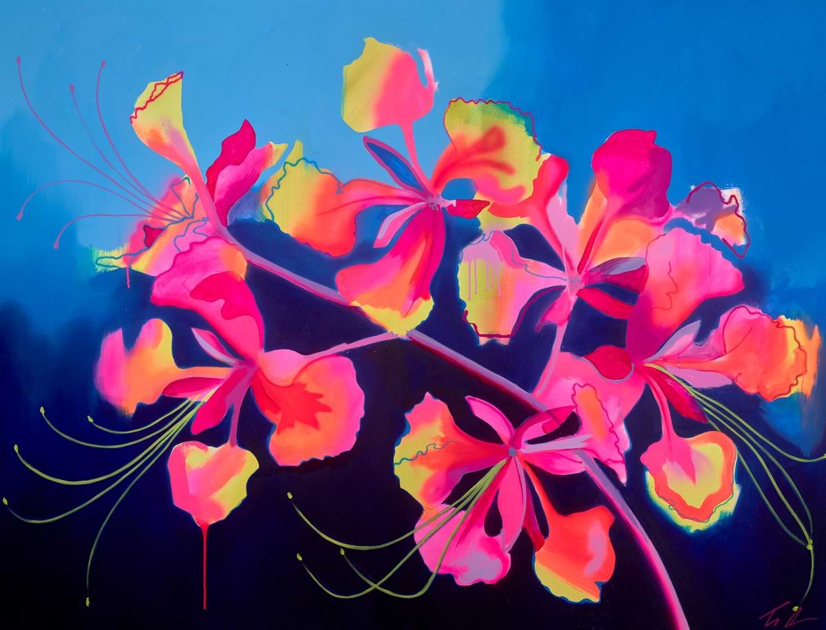 Pride of Barbados