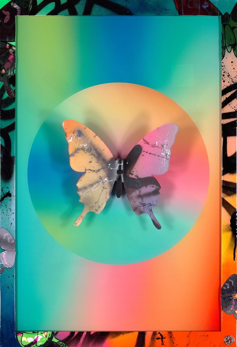 Colourful Butterfly